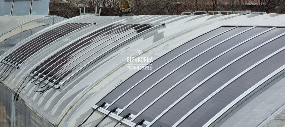 Installed GIPV in Greenhouse of CNU [첨부 이미지3]