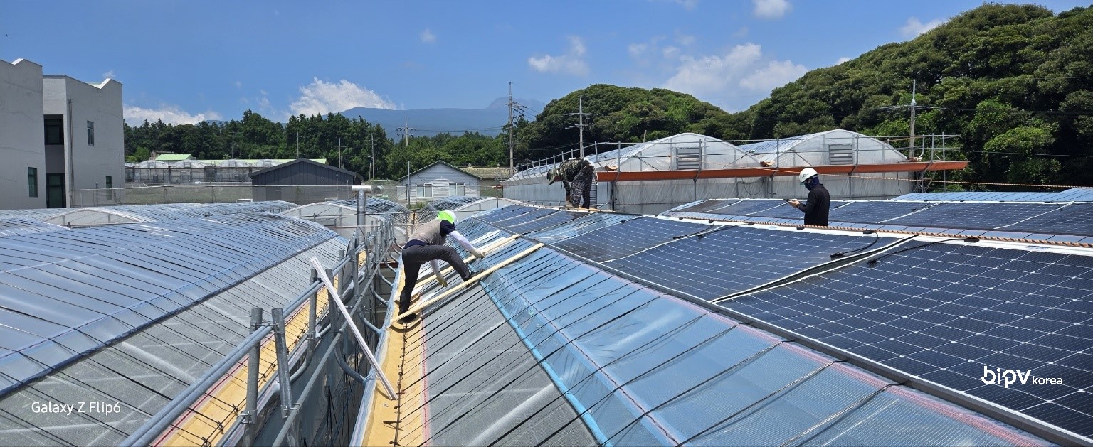 JEJU agri_Citrus Greenhouses Pilot Project [첨부 이미지5]