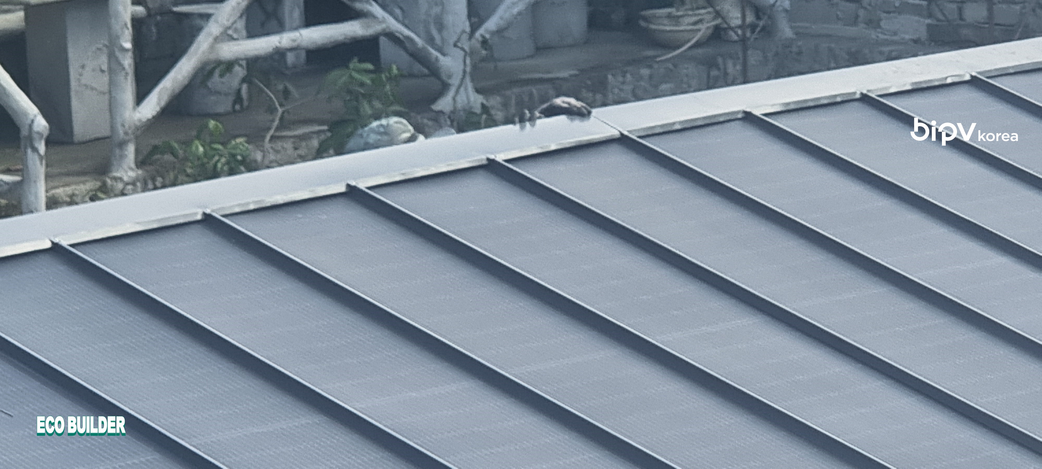 Angono, Philippines [첨부 이미지4]